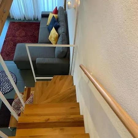 Flavour Trip Shkodra